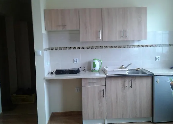 Apartament Borowiacki
