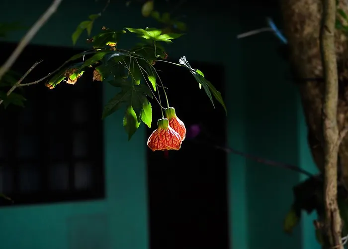 Condomínio Higa