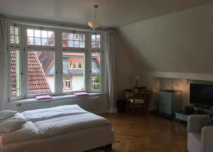 Hotel Heidelberg Astoria