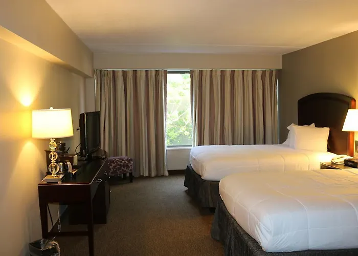 The Avalon Hotel