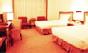 Twin Star Airport Hotel