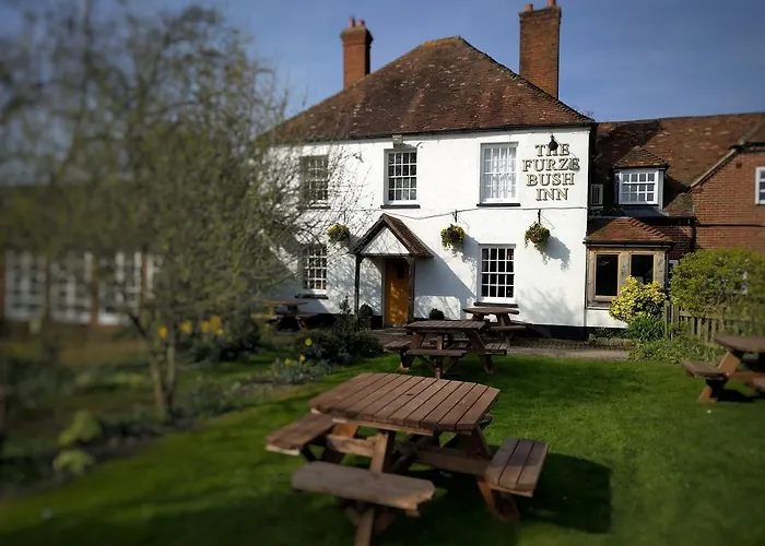 The Furze Bush Inn