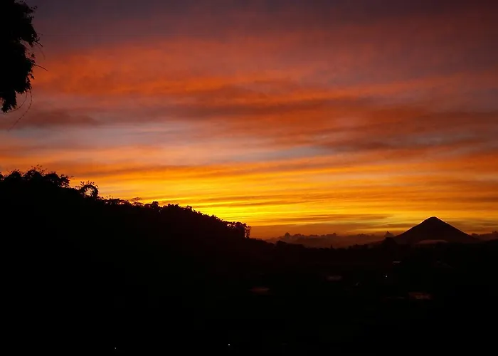Bajawa-Roo Hotel