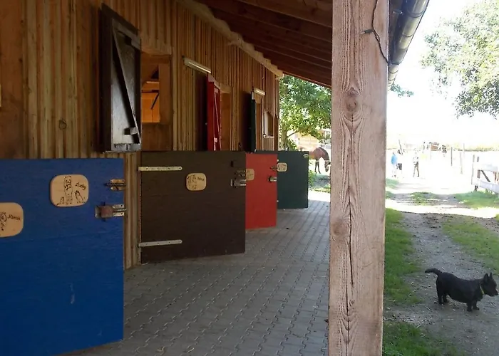 Reiterhof vom Litzlbach