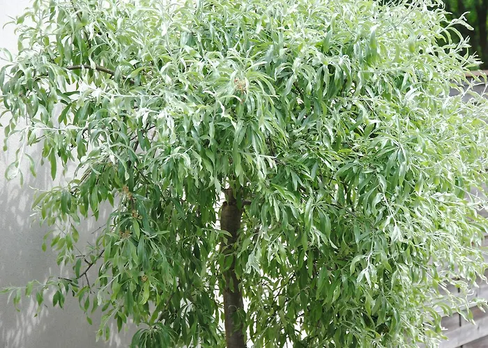 Glück Auf im Pott