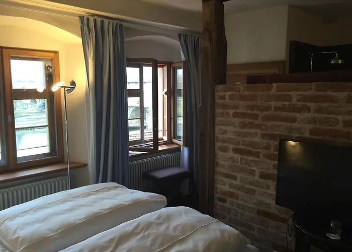 Hotel David an der Donau