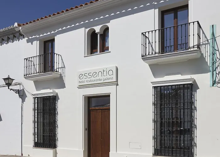Hotel Galería Essentia