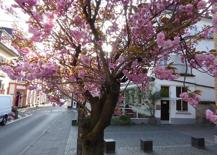 Storyhotel Bergischer Hof Königswinter