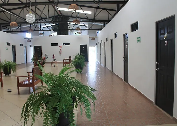 Real Primaveras Campestre