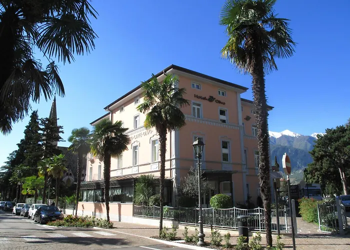 Hotel Olivo