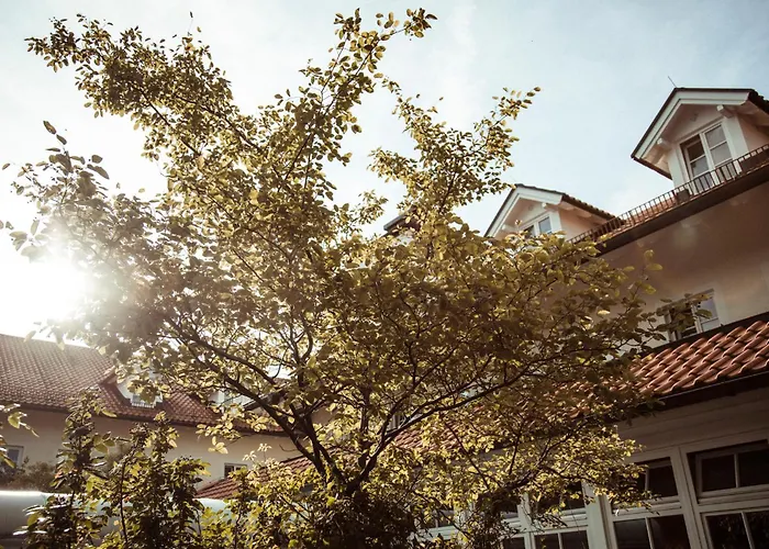 Hotel Limmerhof