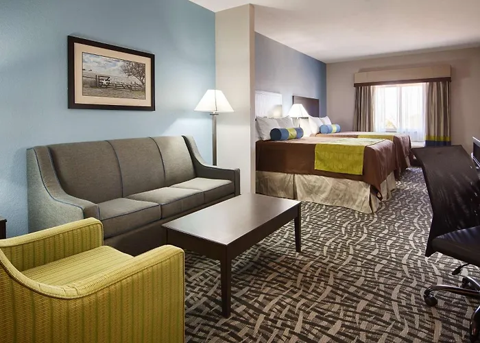 Best Western Plus Lonestar Inn&Suites