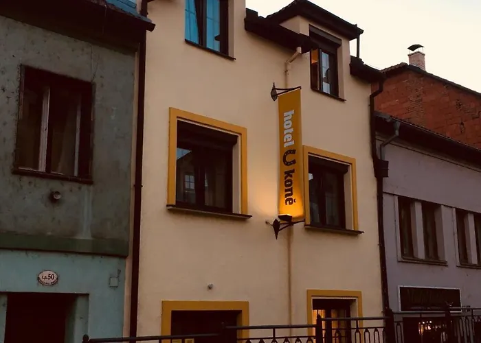 Hotel U Kone