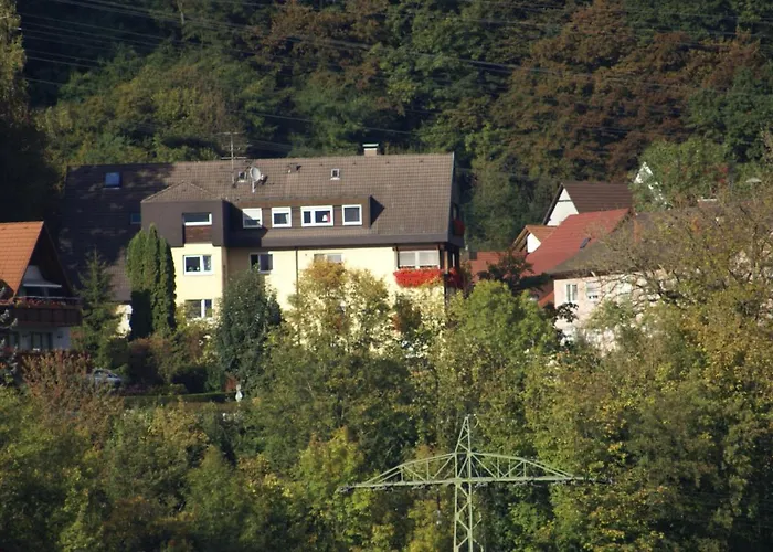 Hotel Storchen