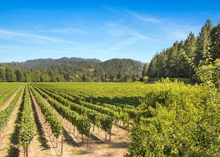 Melody Vineyard Cottage