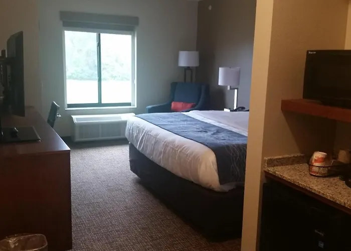 Comfort Inn White House