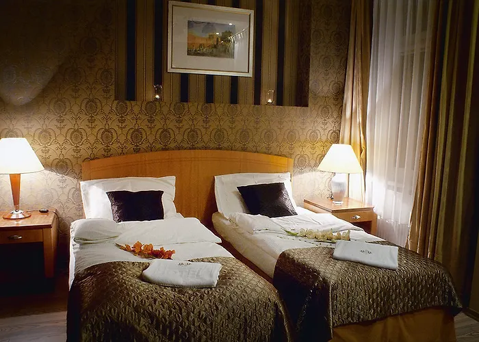 Hotel MCM Plus