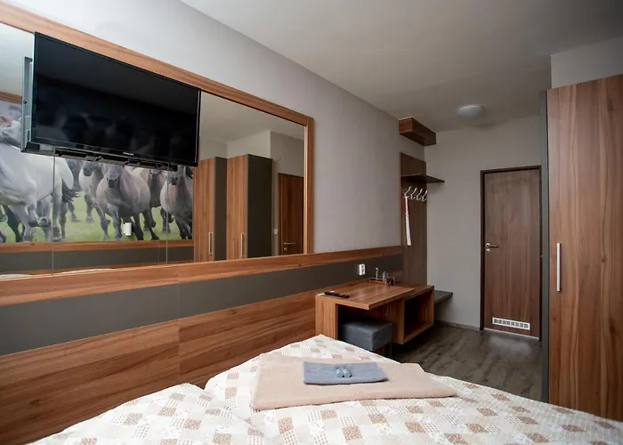 Hotel U Kone