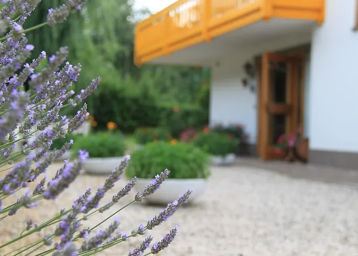 Garni Goccia D'Oro