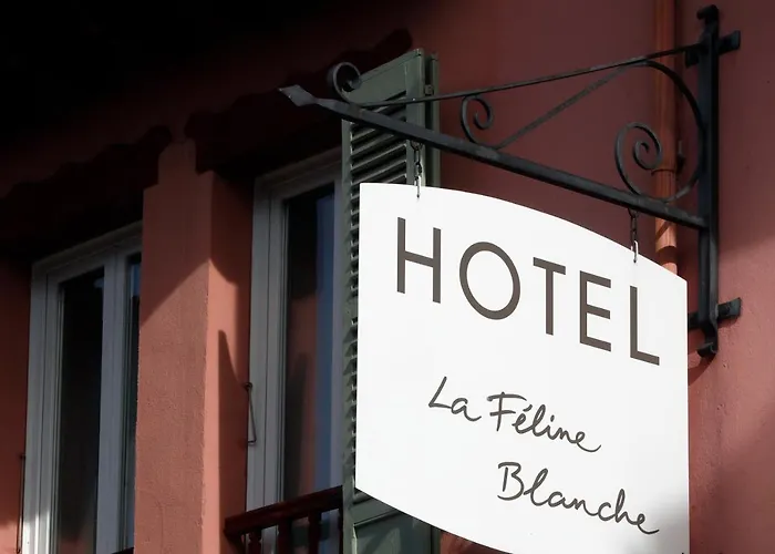 La Féline Blanche Adult Only
