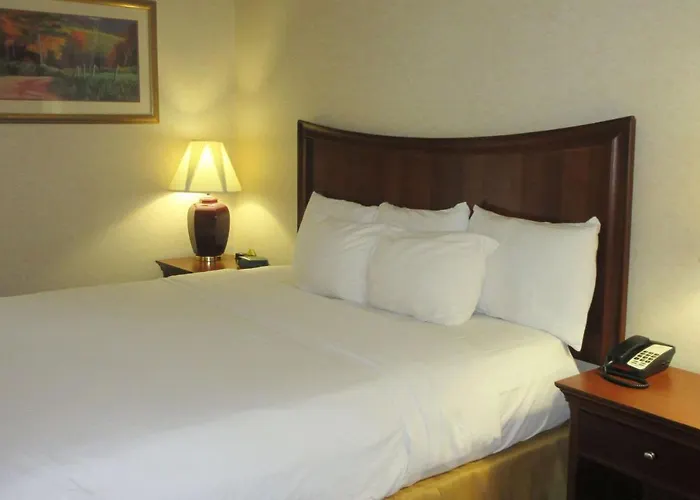 Quality Inn & Suites Owego