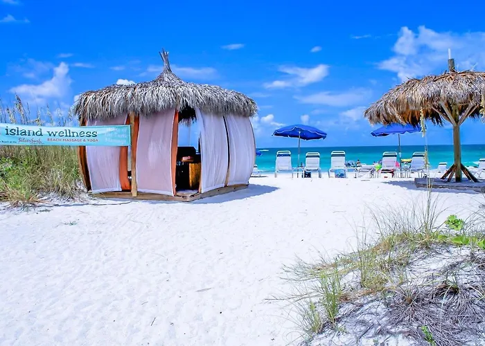 Anna Maria Island Beach Palms 7A