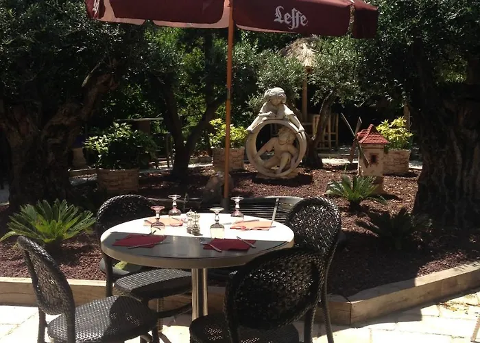 Le Jardin Des Oliviers
