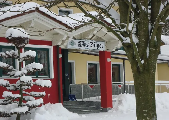 Gasthof-Hotel Dilger