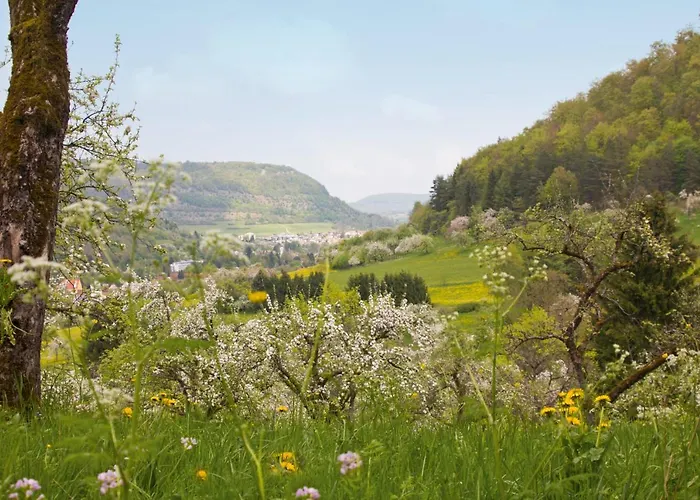 Gasthof Restaurant Hirsch