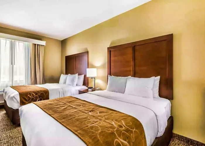 Comfort Suites Houston I45 North