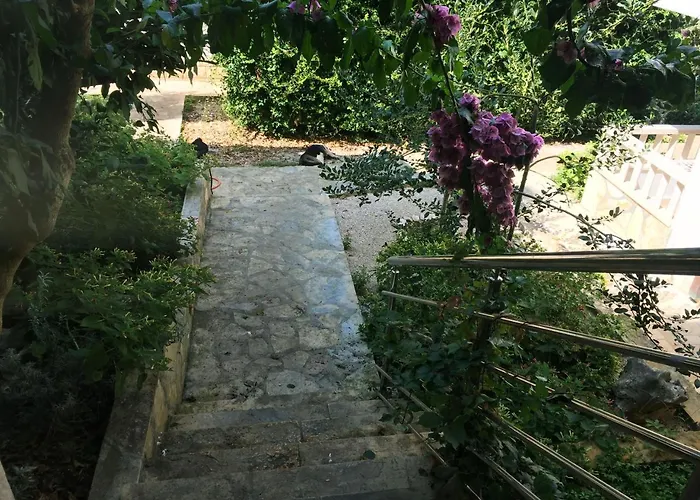 Apartments Horizont