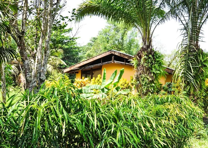Ankobra Beach Resort