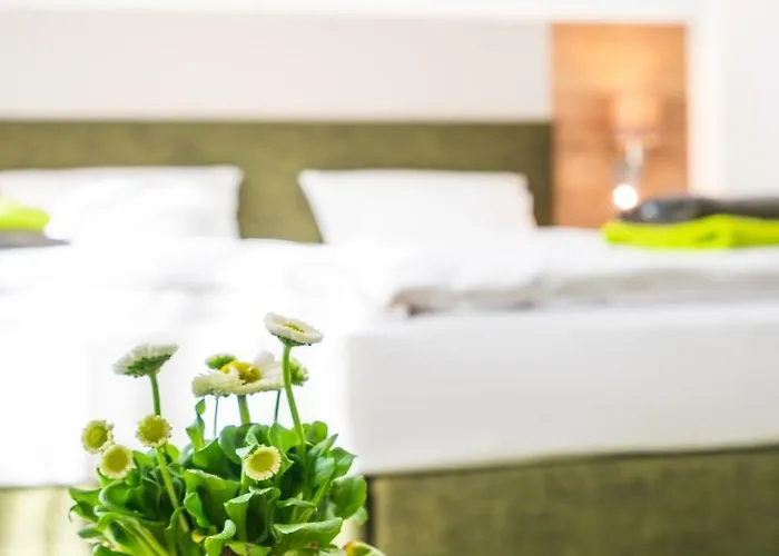 Hotel Treppengasse T6