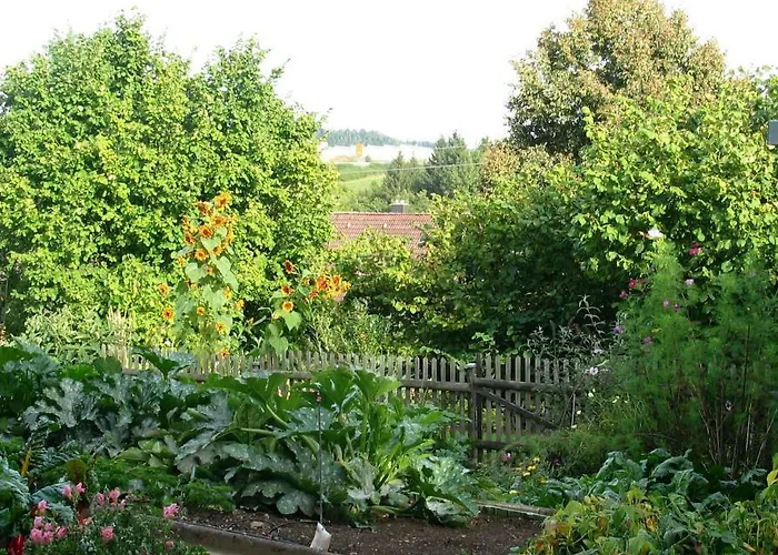 2-Zimmer-Ferienwohnung Gartenblick