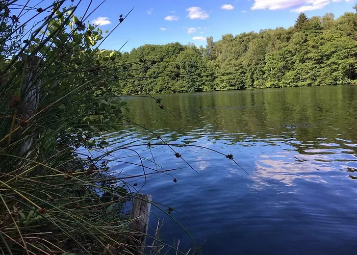 Ferienwohnungen Heideidylle