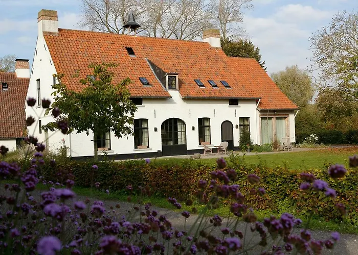 De Grote Wateringe