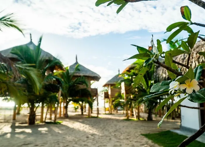 Whisky Point Resort