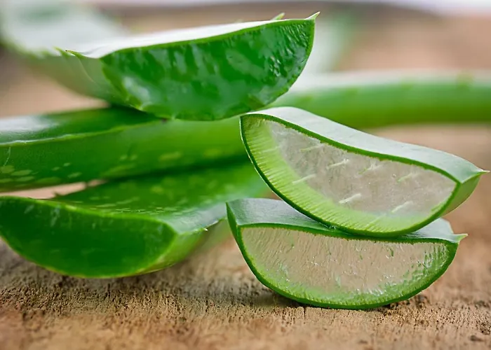 Kur und Wellnesshaus Spreebalance, The Originals Relais (Relais du Silence)