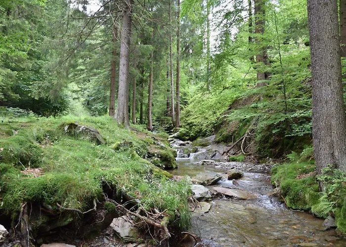 Marschalls Hotel Am Rennsteig