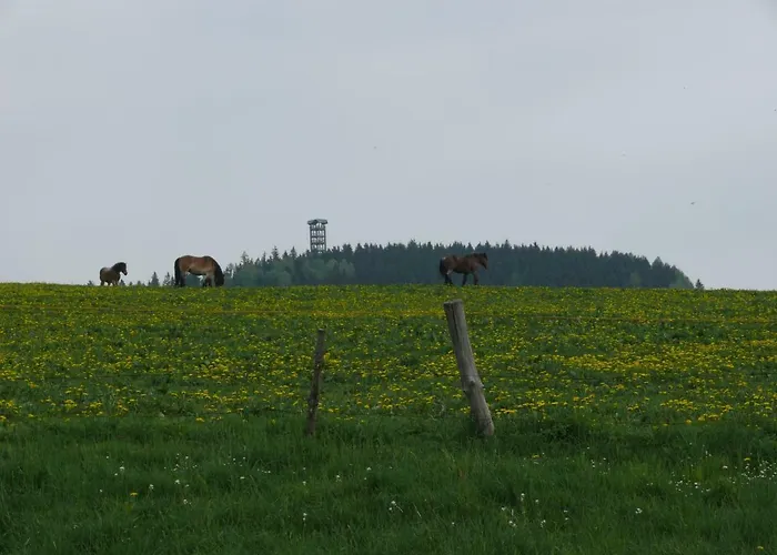 Ferienwohnung Nimm dir Zeit