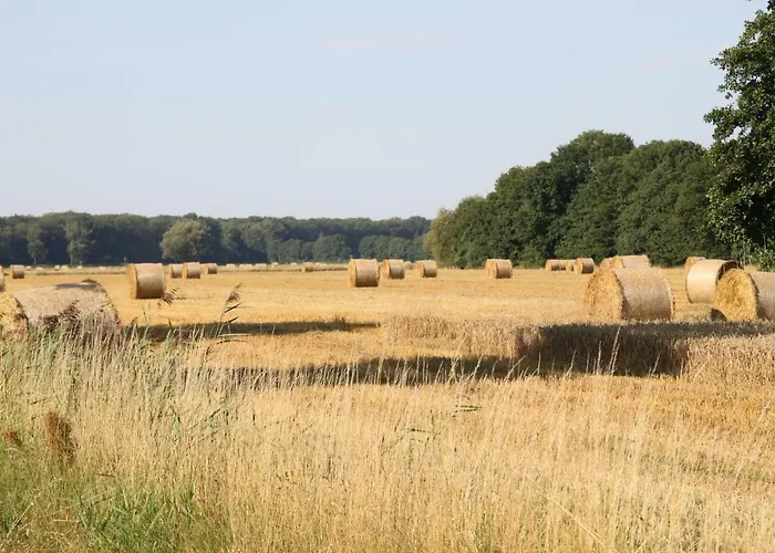 Ferienwohnung am Elbdeich