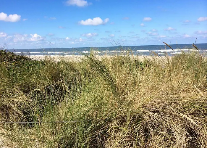 Petine Langeoog