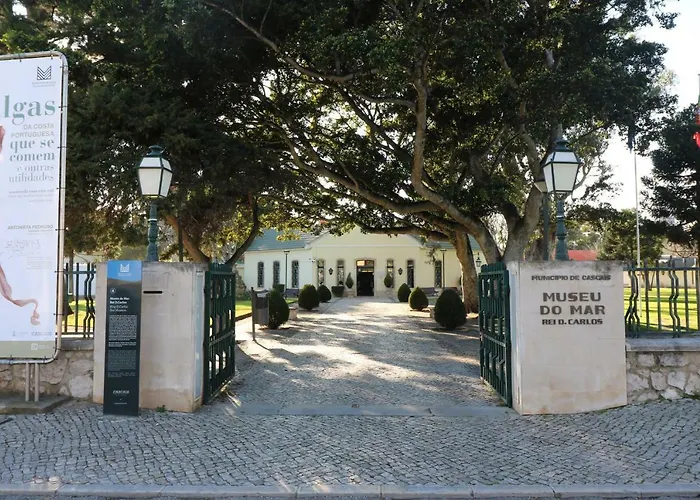 Apartamento De Charme