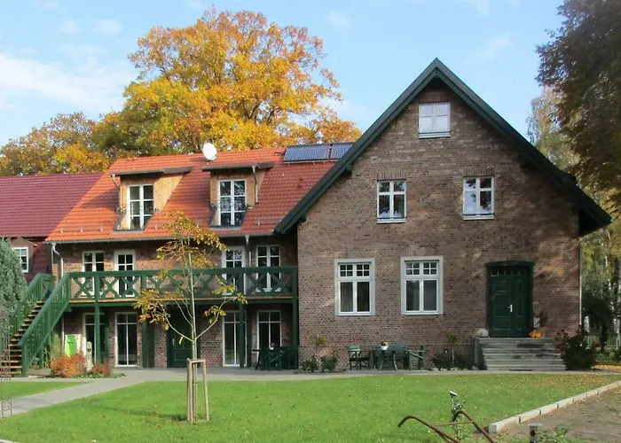 Grüner Wald