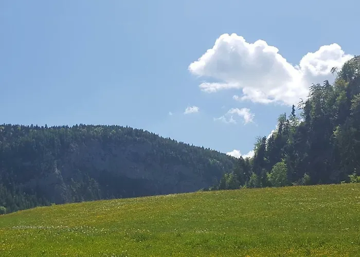 Ferienwohnung Lohnerlehen