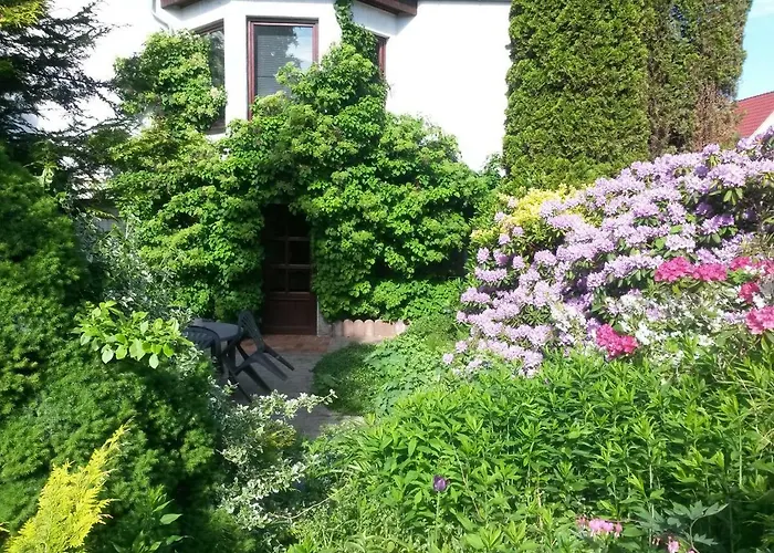 Appartement auf Rügen