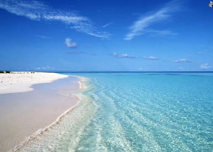 Bluvertigo-Panoramico, Dune