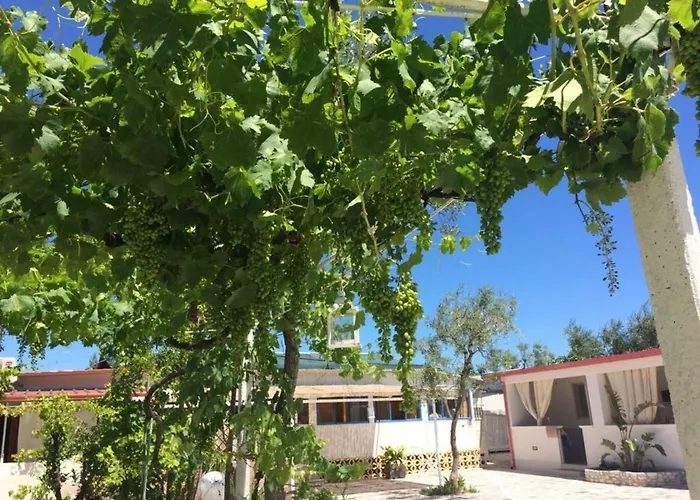 Kimera Beach Apartments