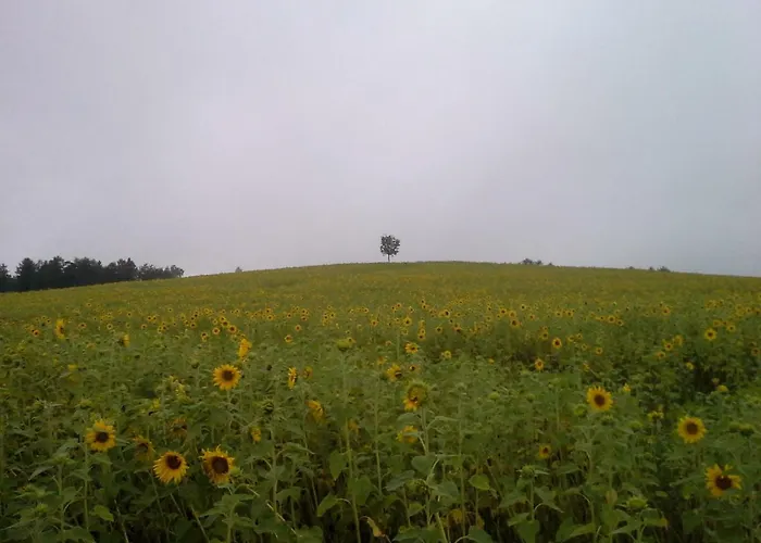 Sommerfrische