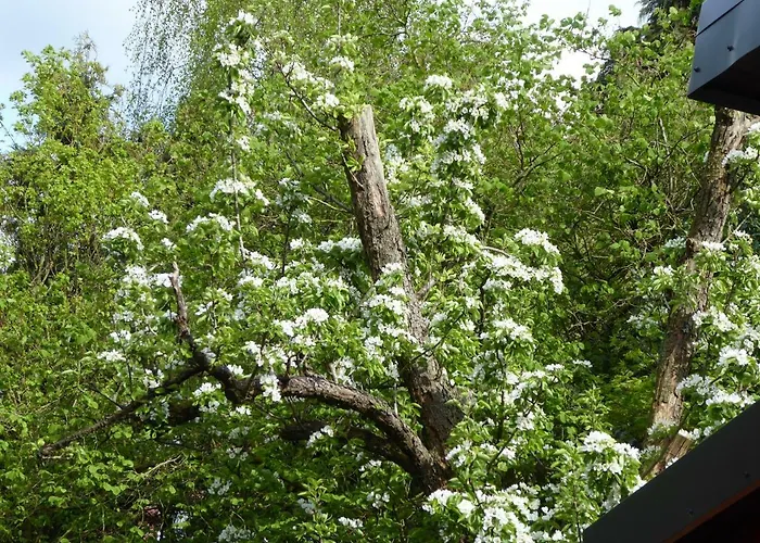 Großstrasse 18 A